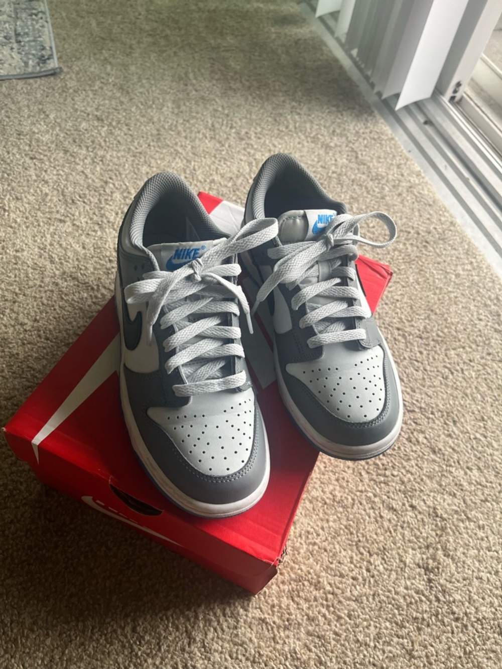Nike Dunk Low (good condition)
